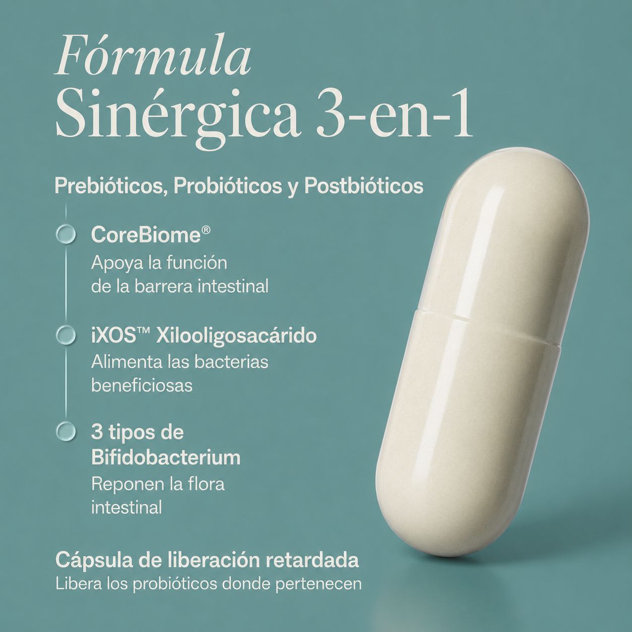 BIOMA Probiotics | Apoya una Digestión Saludable y Reduce la Inflamación Abdominal